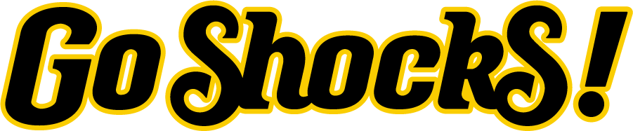 Wichita State Shockers 2011-2019 Wordmark Logo iron on transfers for clothing